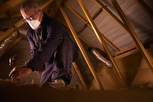 Best Types of Insulation in India Hook, SC